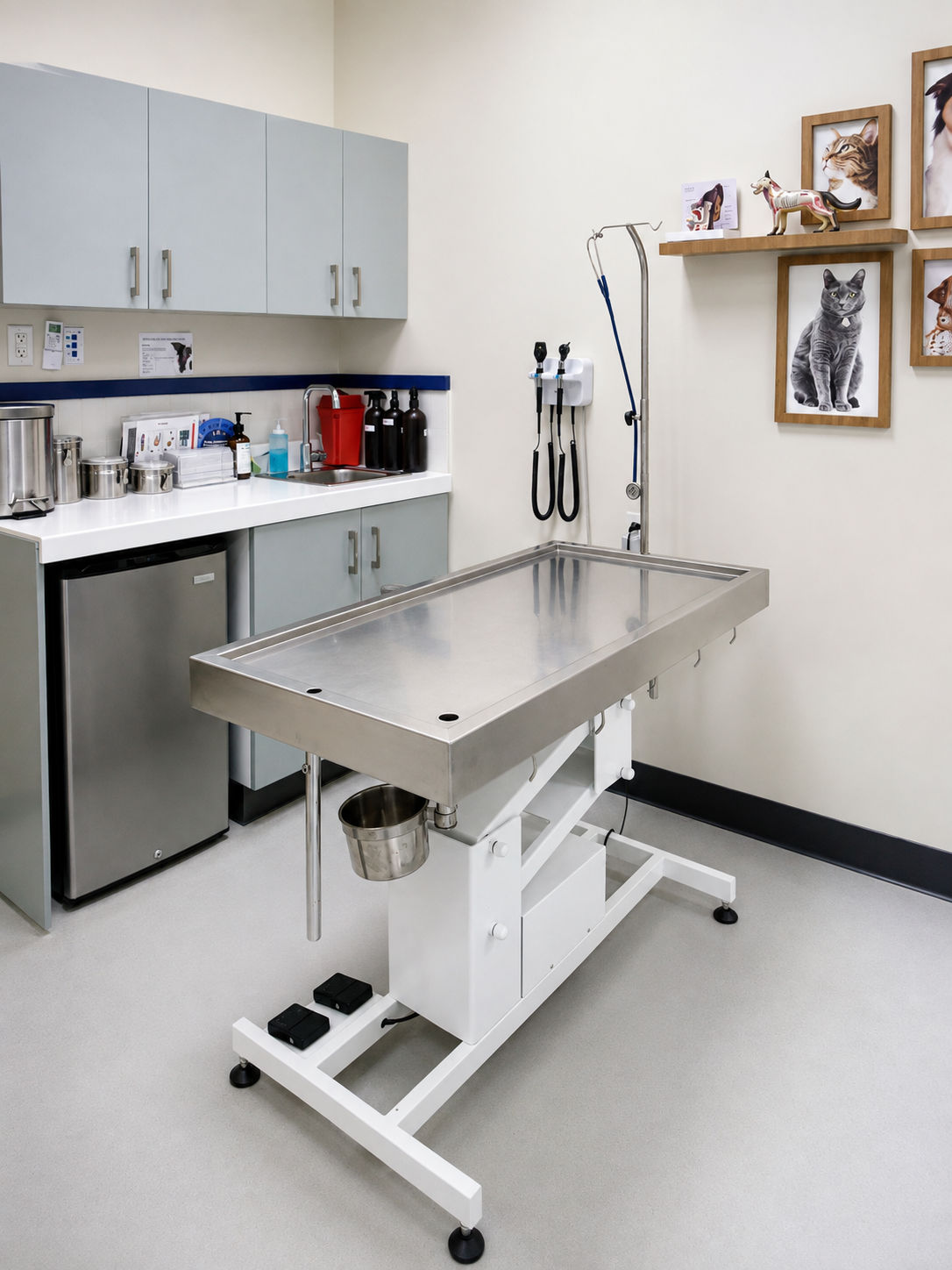 Consultorio veterinario Zooteca equipado para la atención de pacientes