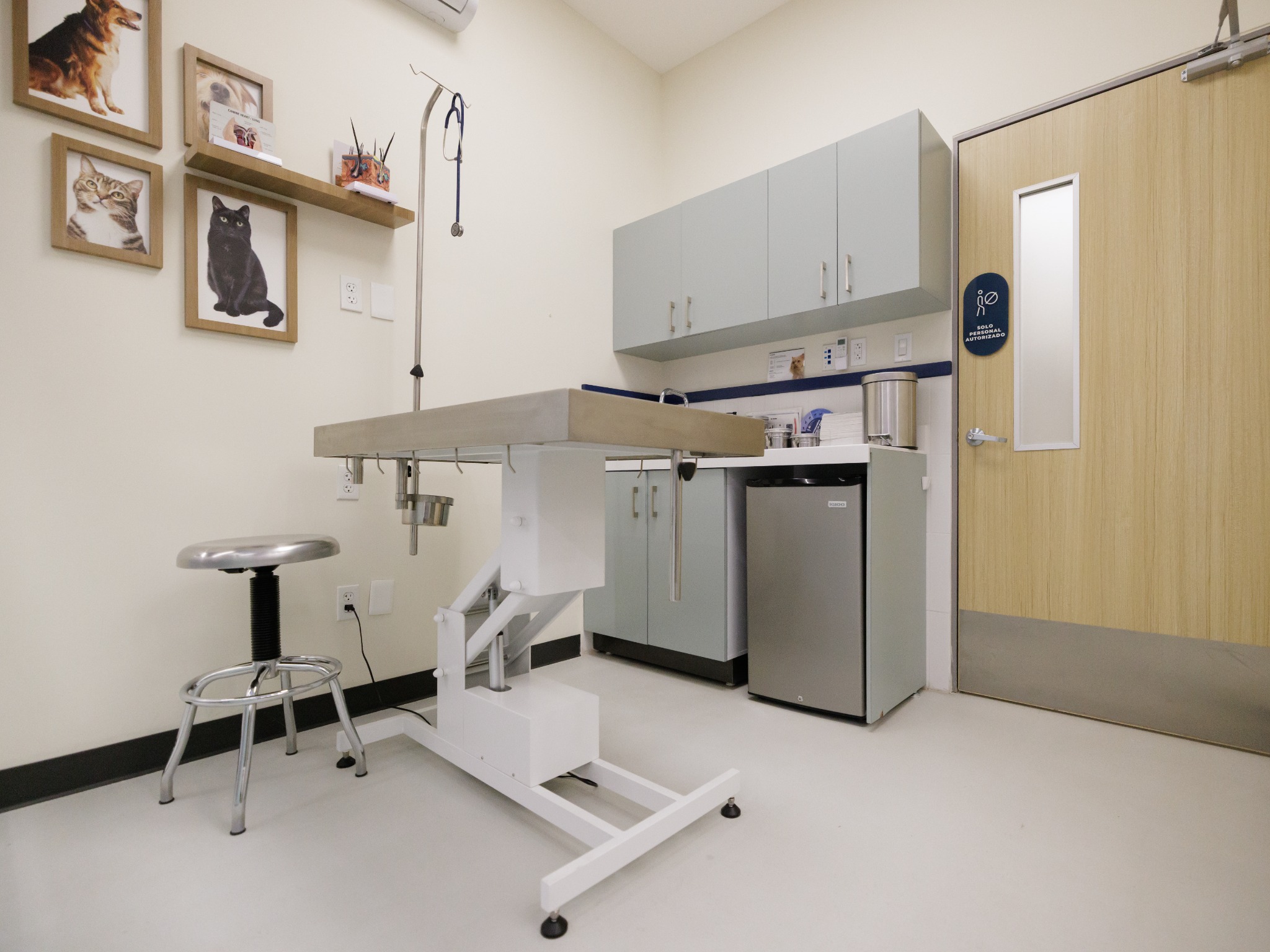 Consultorio veterinario de Zooteca con mesa de exploración